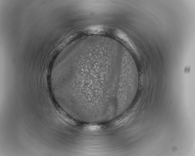 X0000094810217200711301559