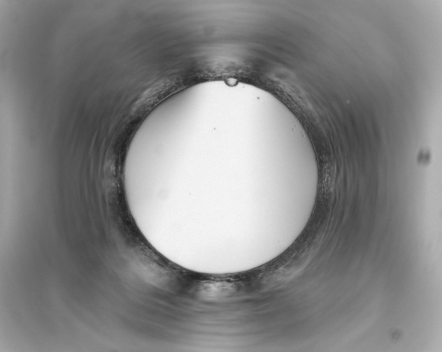 X0000094810220200711301559