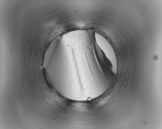 X0000094810221200711301559