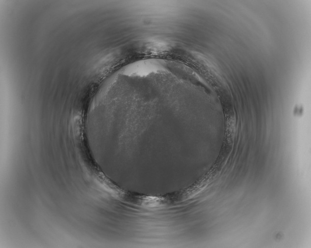 X0000094810222200711301559