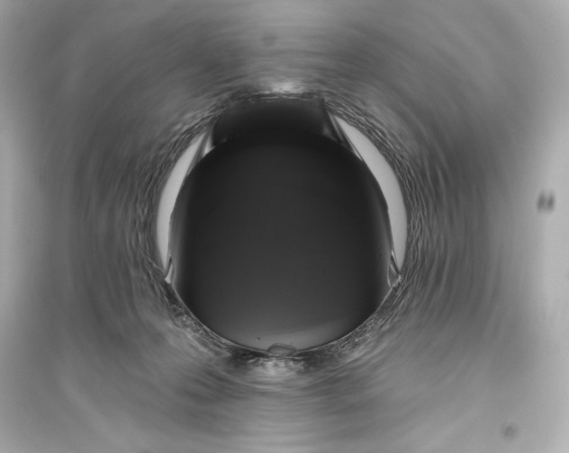 X0000094810223200711301559