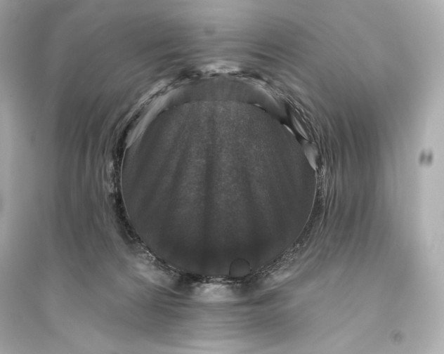 X0000094810224200711301559