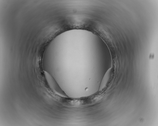 X0000094810225200711301559