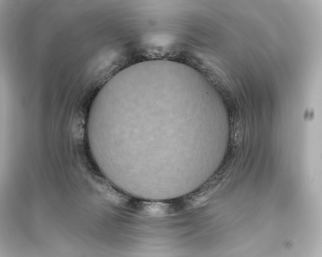 X0000094810226200711301558