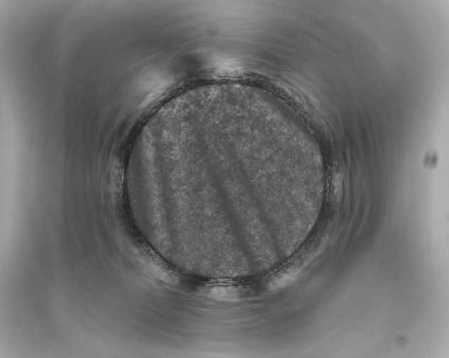 X0000094810228200711301558