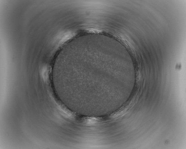 X0000094810229200711301558