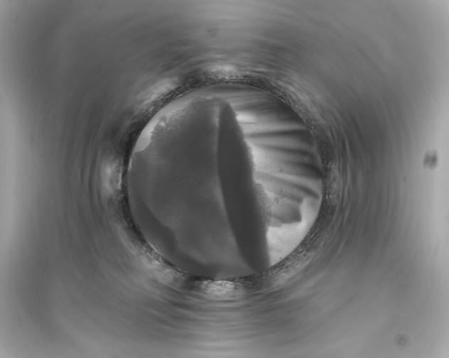 X0000094810230200711301558