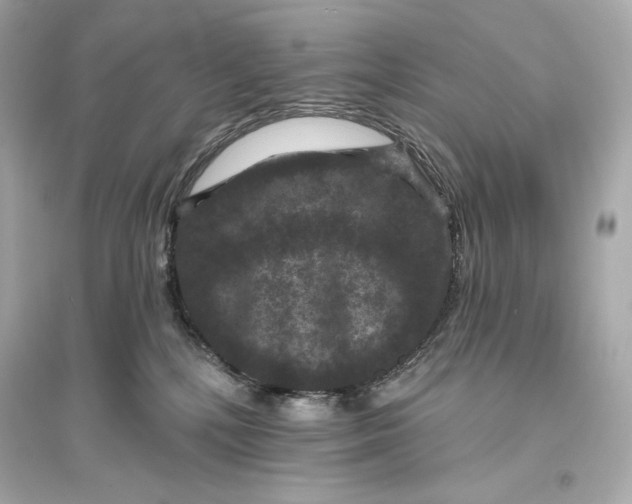 X0000094810232200711301558