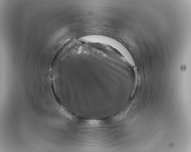 X0000094810233200711301558