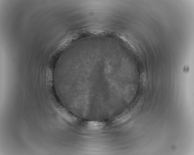 X0000094810234200711301558