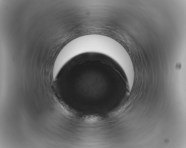 X0000094810235200711301558