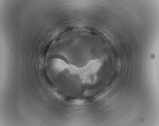 X0000094810236200711301558