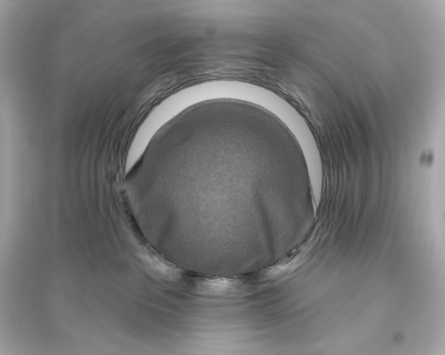 X0000094810237200711301558