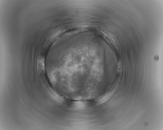 X0000094810238200711301558