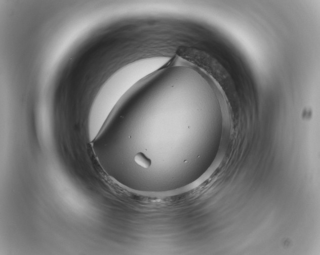 X0000094810239200711301558