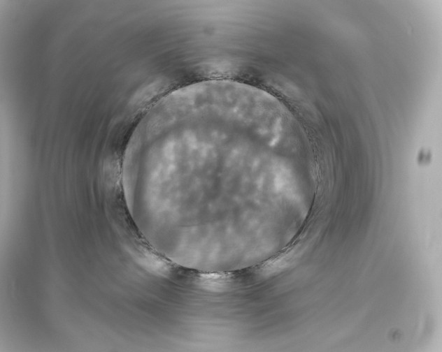 X0000094810240200711301558