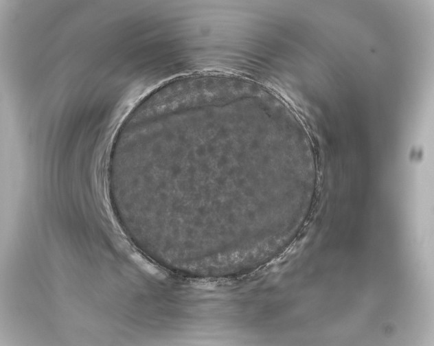 X0000094810241200711301558