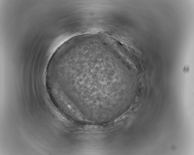 X0000094810242200711301558