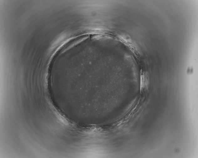 X0000094810243200711301558