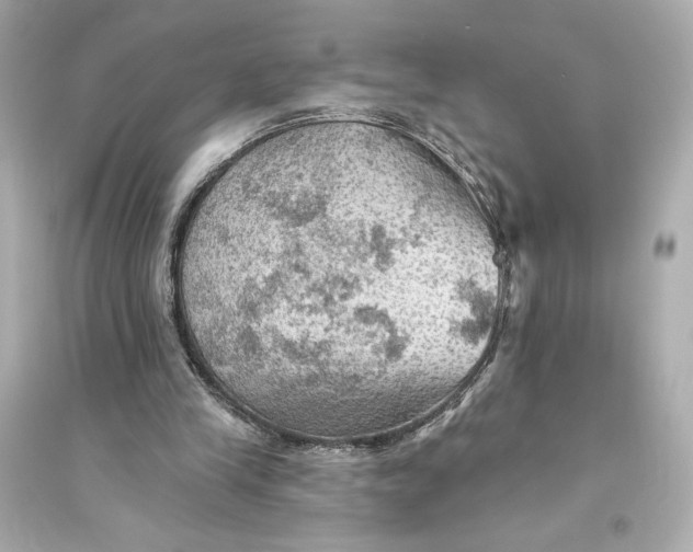 X0000094810245200711301558