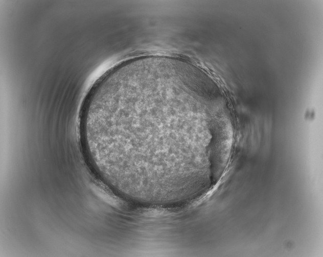 X0000094810246200711301558