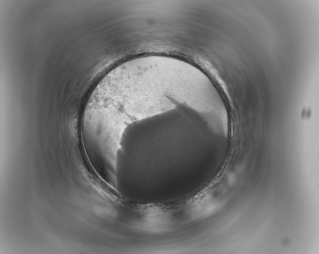 X0000094810249200711301558