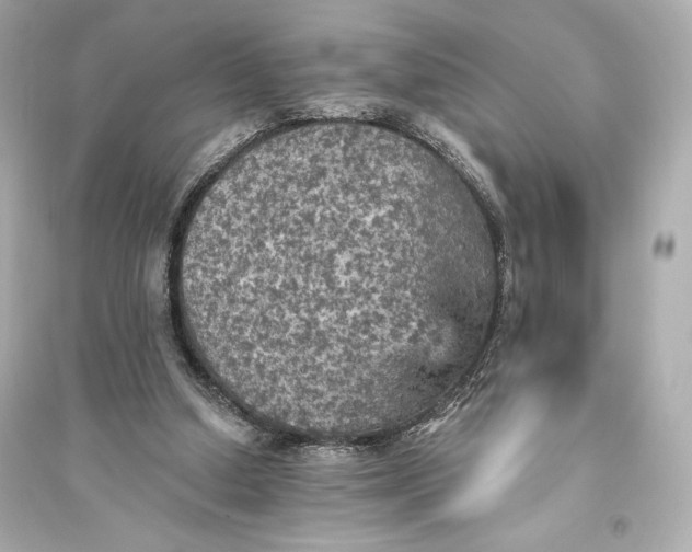 X0000094810250200711301558