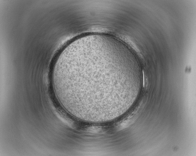 X0000094810252200711301558