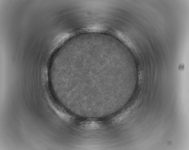 X0000094810254200711301558