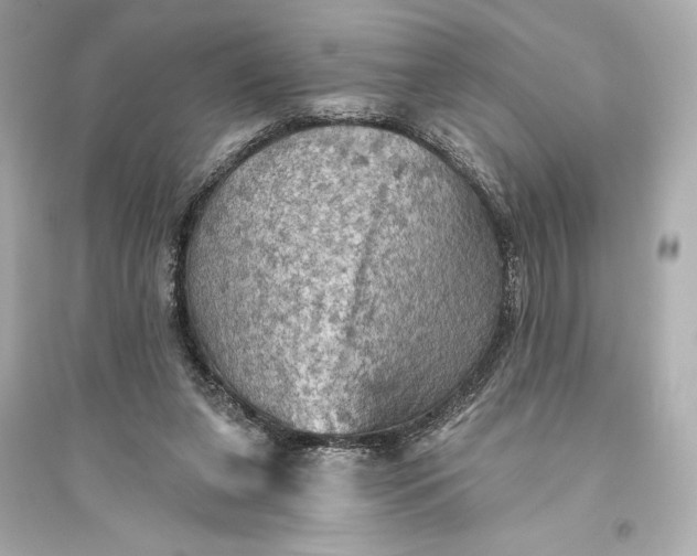 X0000094810255200711301558