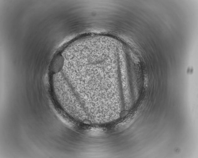 X0000094810256200711301558