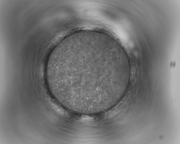 X0000094810257200711301558