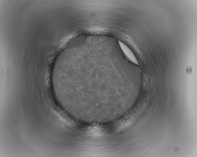 X0000094810259200711301558