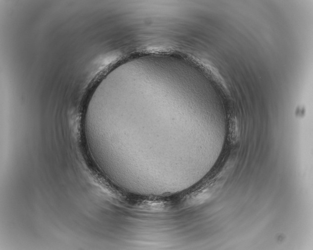 X0000094810260200711301558