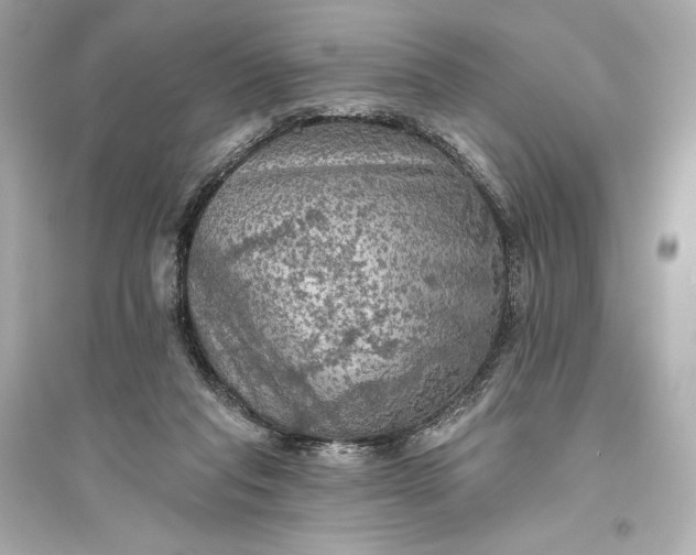 X0000094810261200711301558