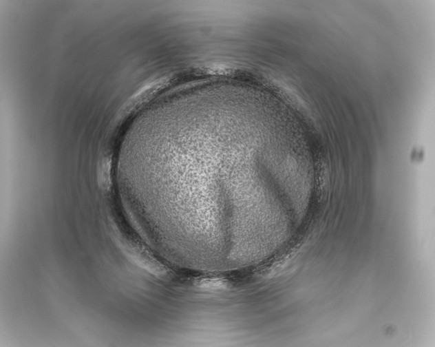 X0000094810262200711301558