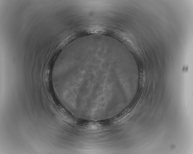 X0000094810263200711301558