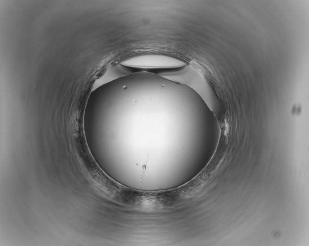 X0000094810264200711301558