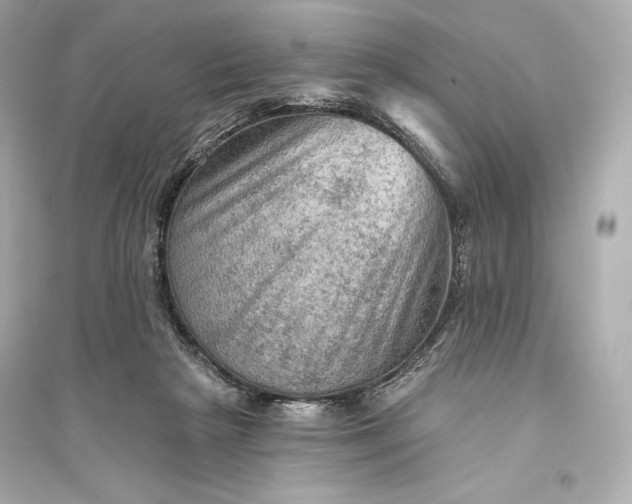 X0000094810265200711301558