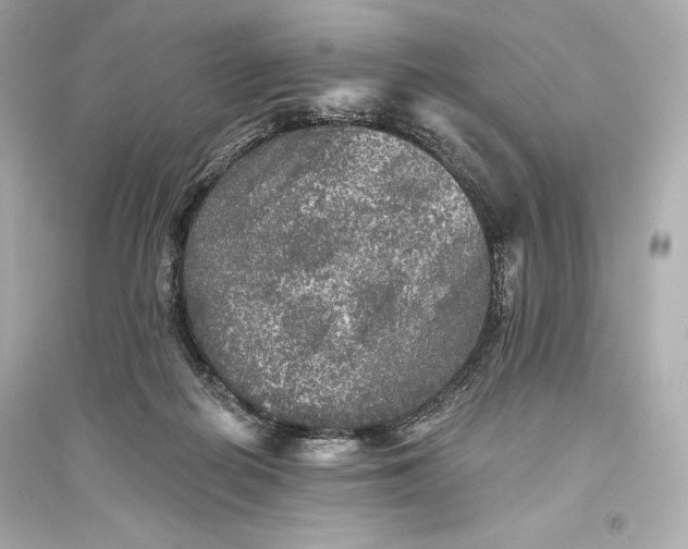 X0000094810266200711301558