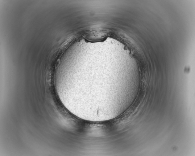 X0000094810268200711301558