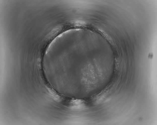 X0000094810269200711301558