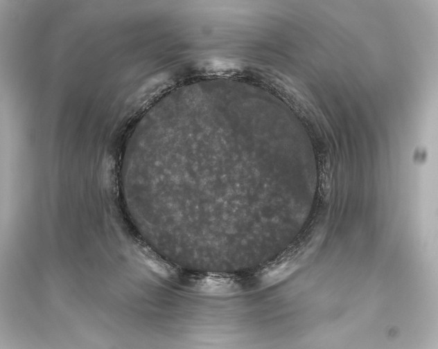 X0000094810270200711301558