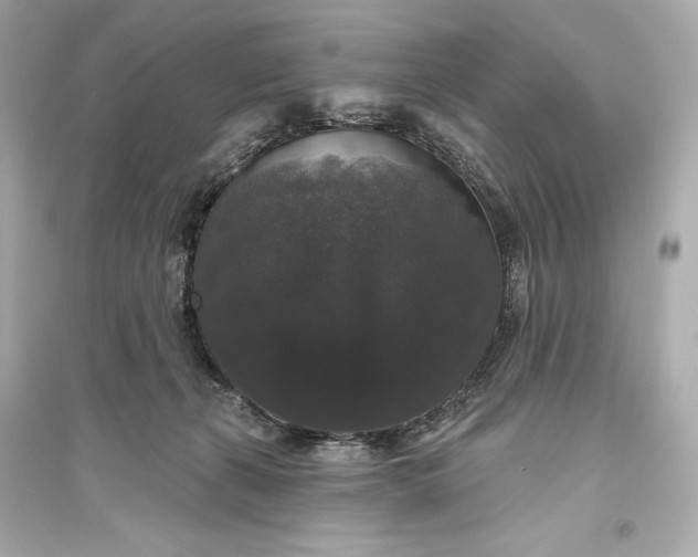 X0000094810271200711301558