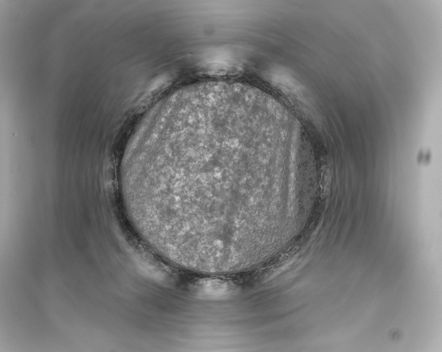 X0000094810272200711301558