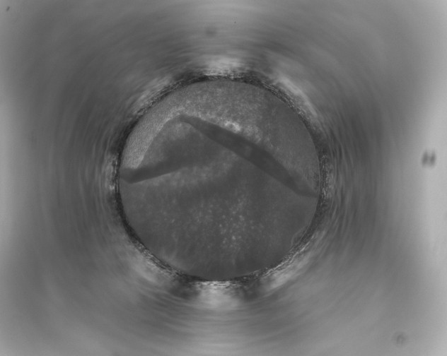 X0000094810273200711301558