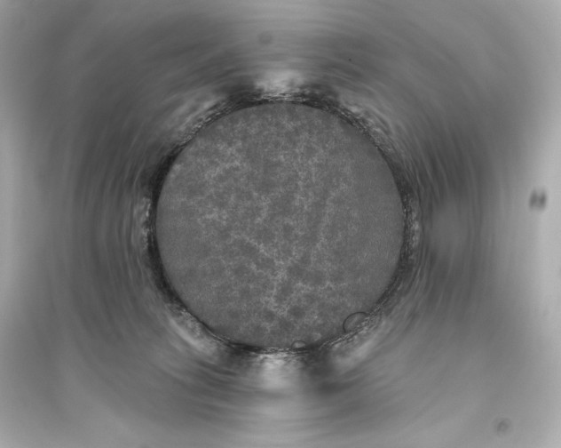 X0000094810275200711301558