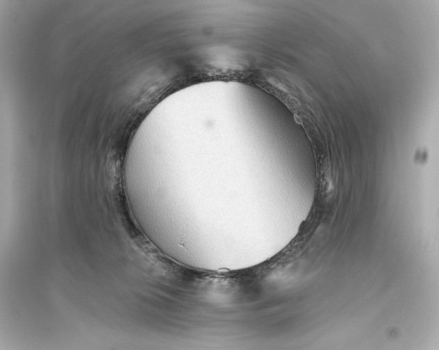 X0000094810276200711301558