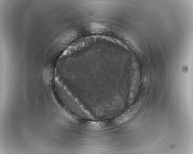 X0000094810277200711301558