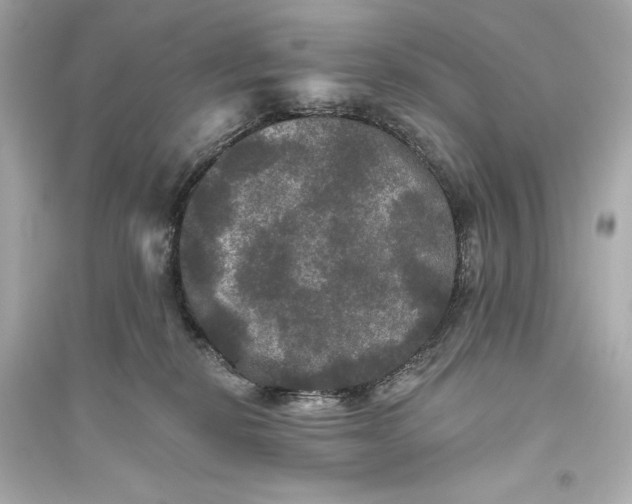 X0000094810278200711301558